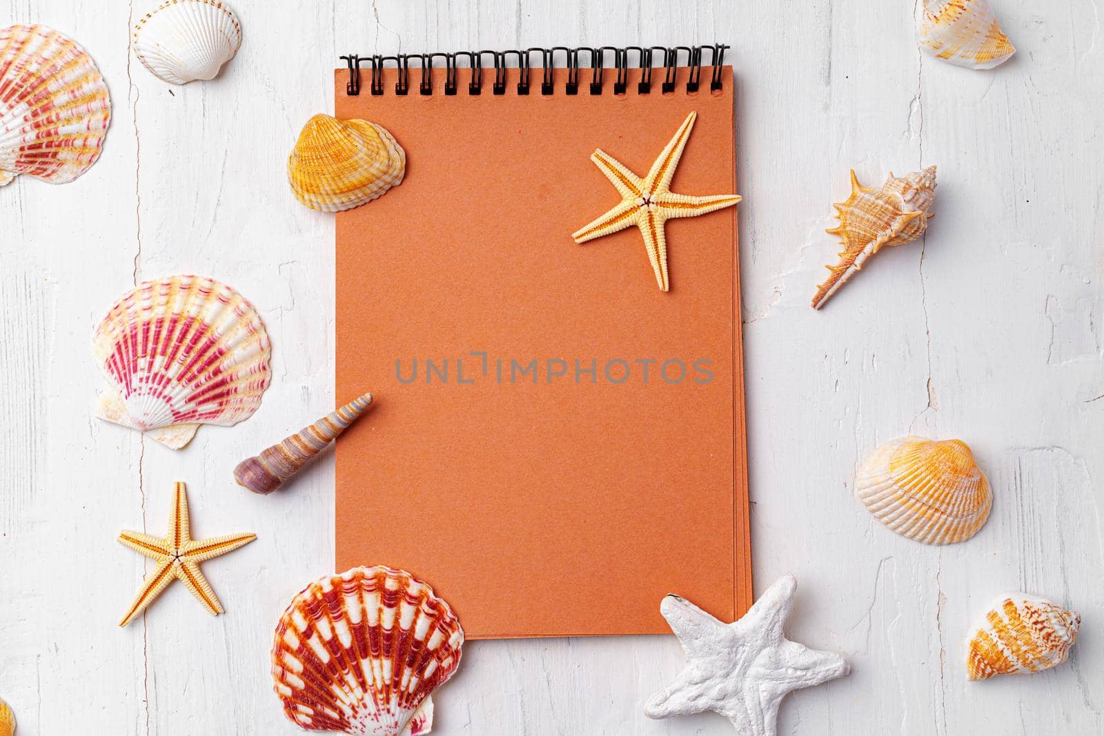Brown open notepad surrounded by sea shells on white wooden table, copy space