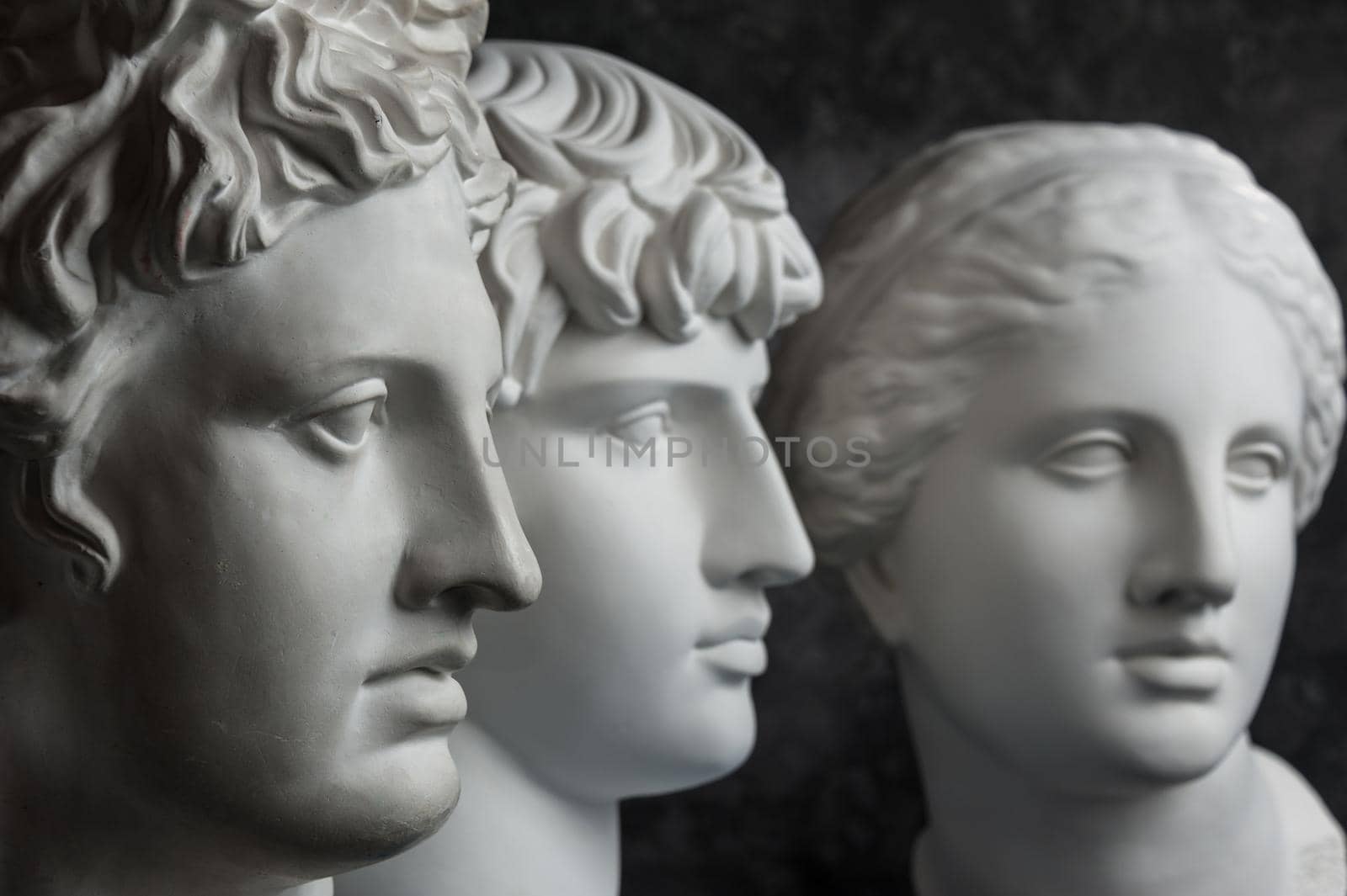 White gypsum copy of ancient statue of Apollo, Antinous and Venus head for artists on a dark textured background. Plaster sculpture of statue face.