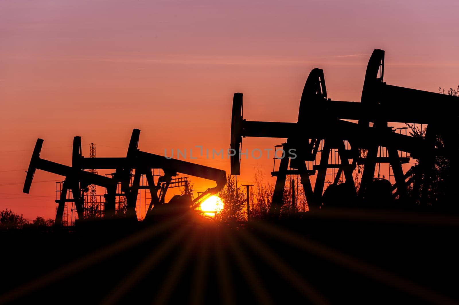 Oil pump jacks on a oilfield at sunset sky background. Concept oil and gas industry.