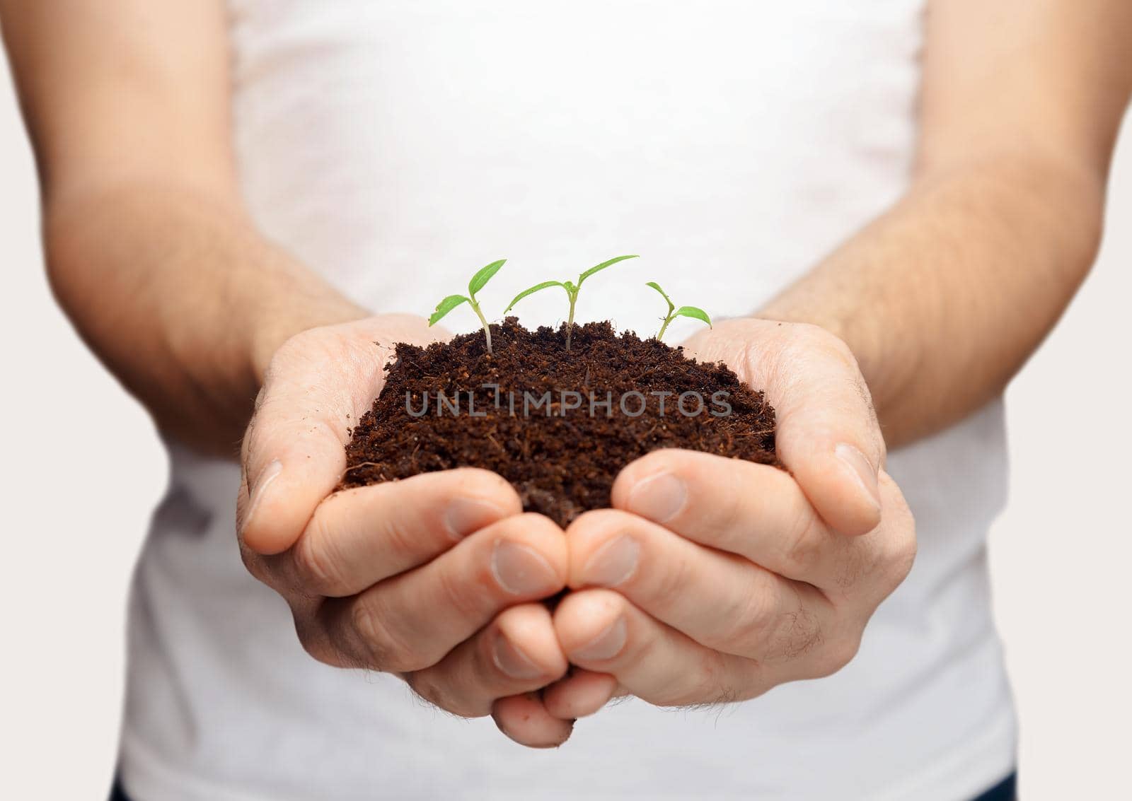 Unrecognizable man in blue shirt holding a small plant. Eco concept