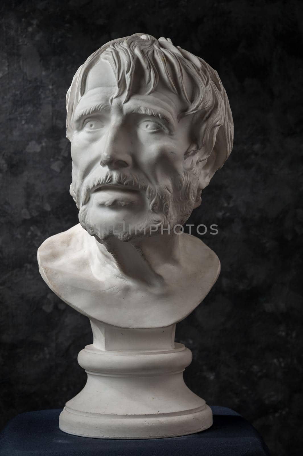 Gypsum copy of ancient statue Seneca head on dark textured background. Plaster sculpture man face. by bashta