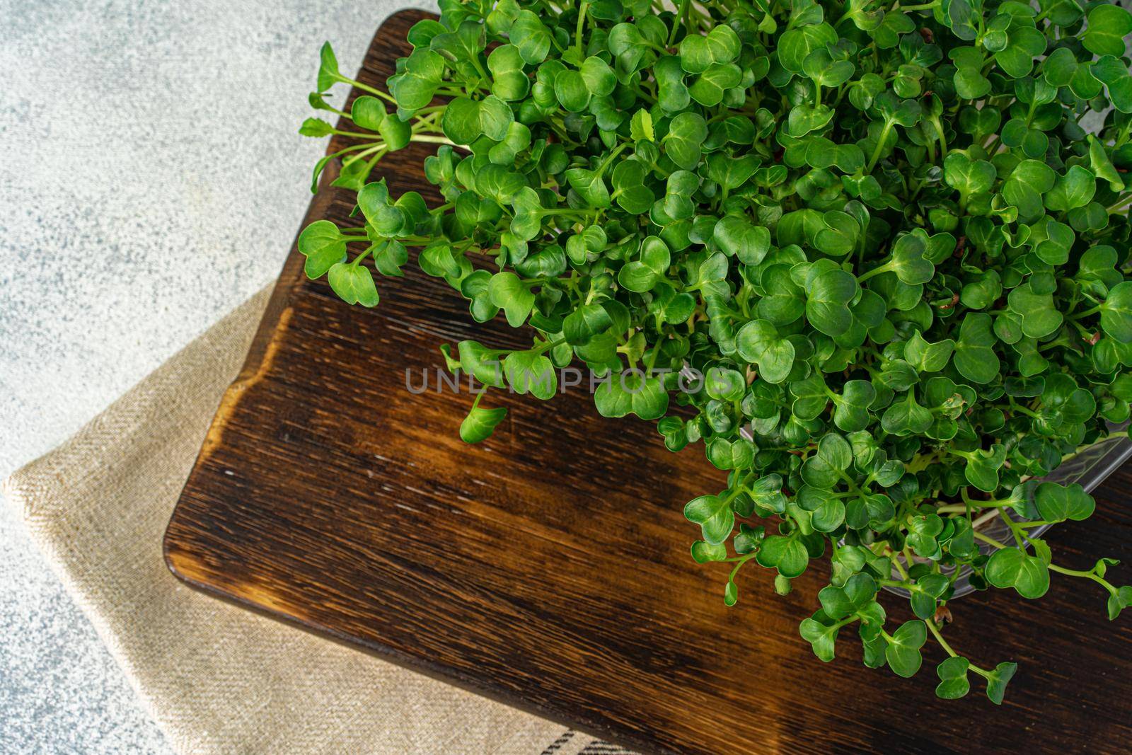 Micro green sprouts on dark wooden board, view from above
