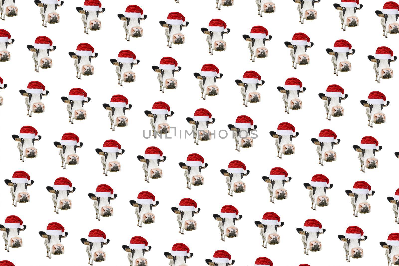 Funny cow isolated in Christmas hat pattern. by esvetleishaya