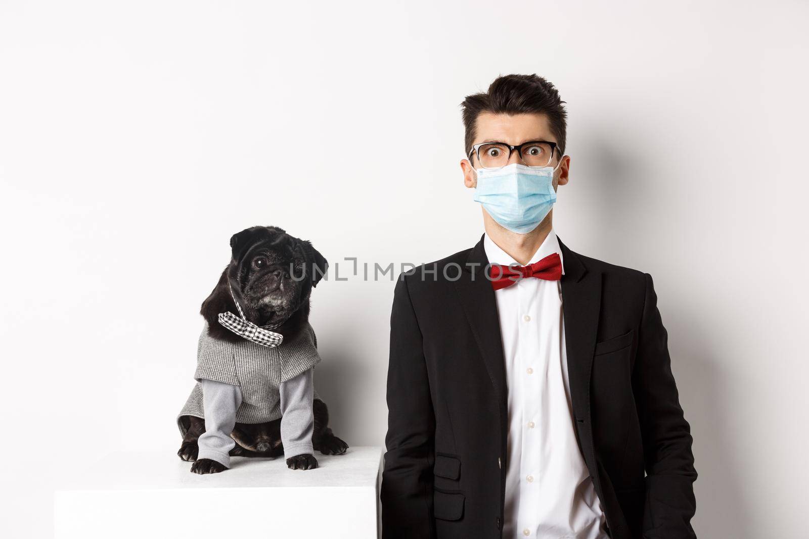 Coronavirus, pets and celebration concept. Handsome young man and dog wearing suits, guy have medical mask, standing over white background.