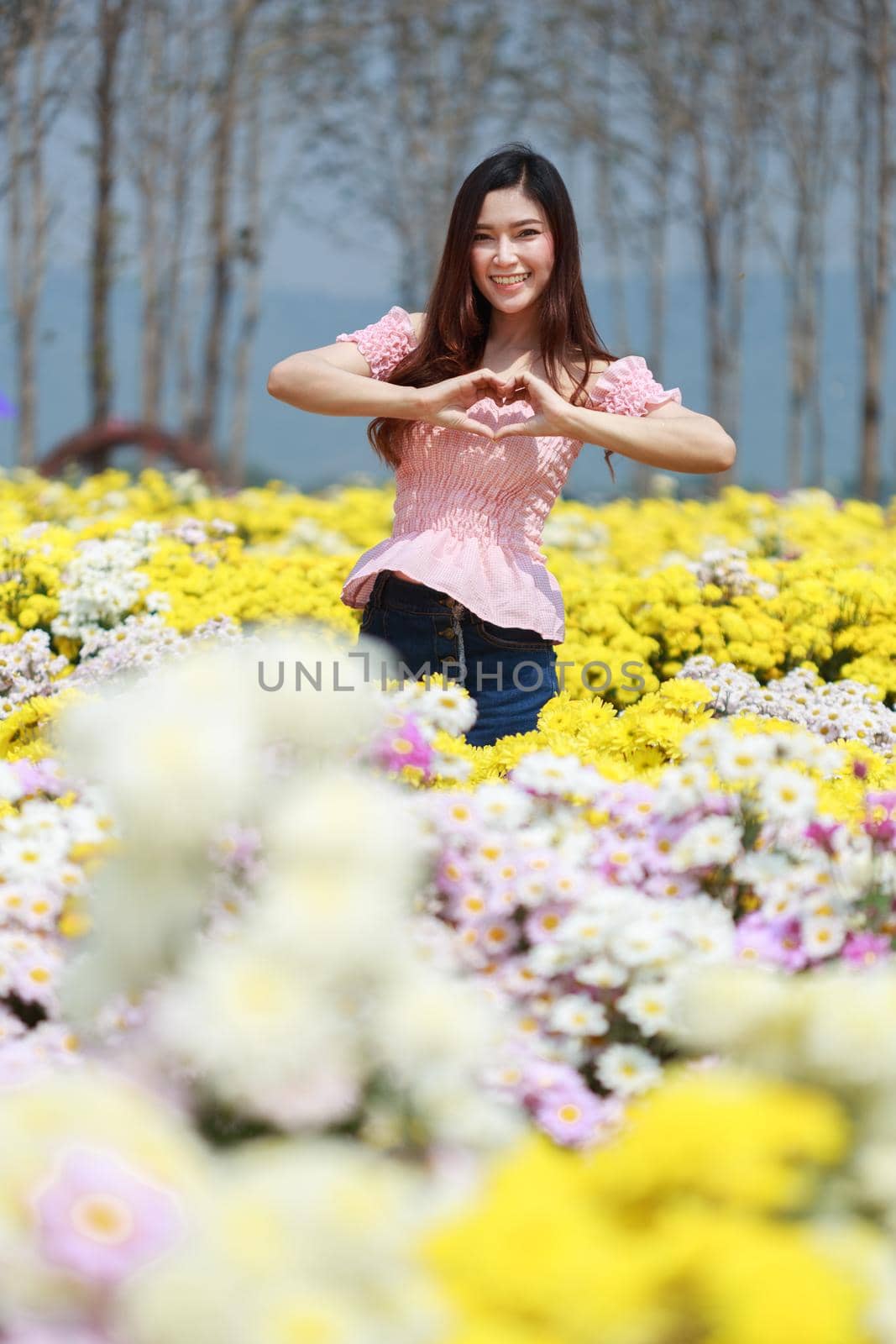 beautiful woman in colorful chrysanthemum glower garden 