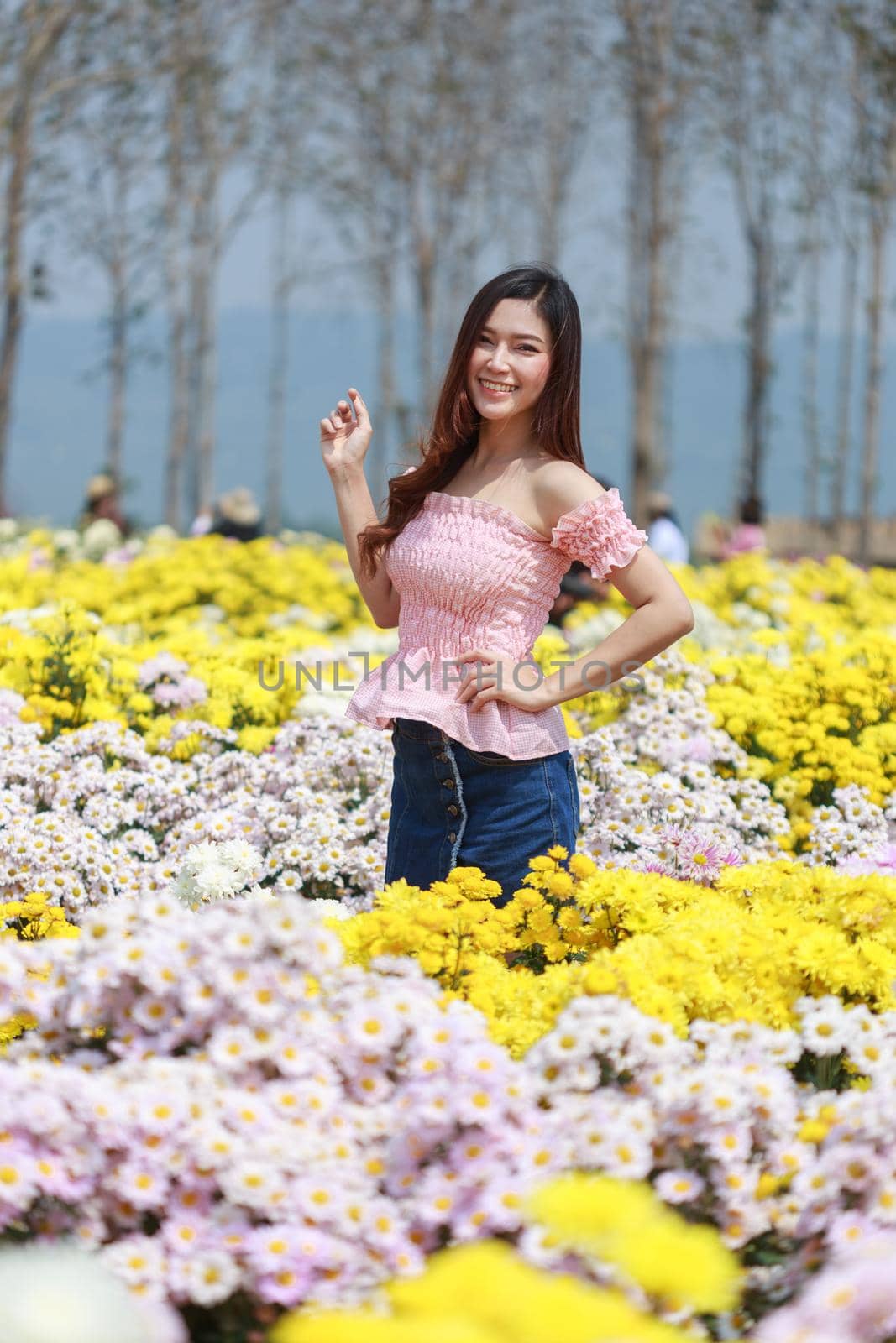 beautiful woman in chrysanthemum glower garden by geargodz