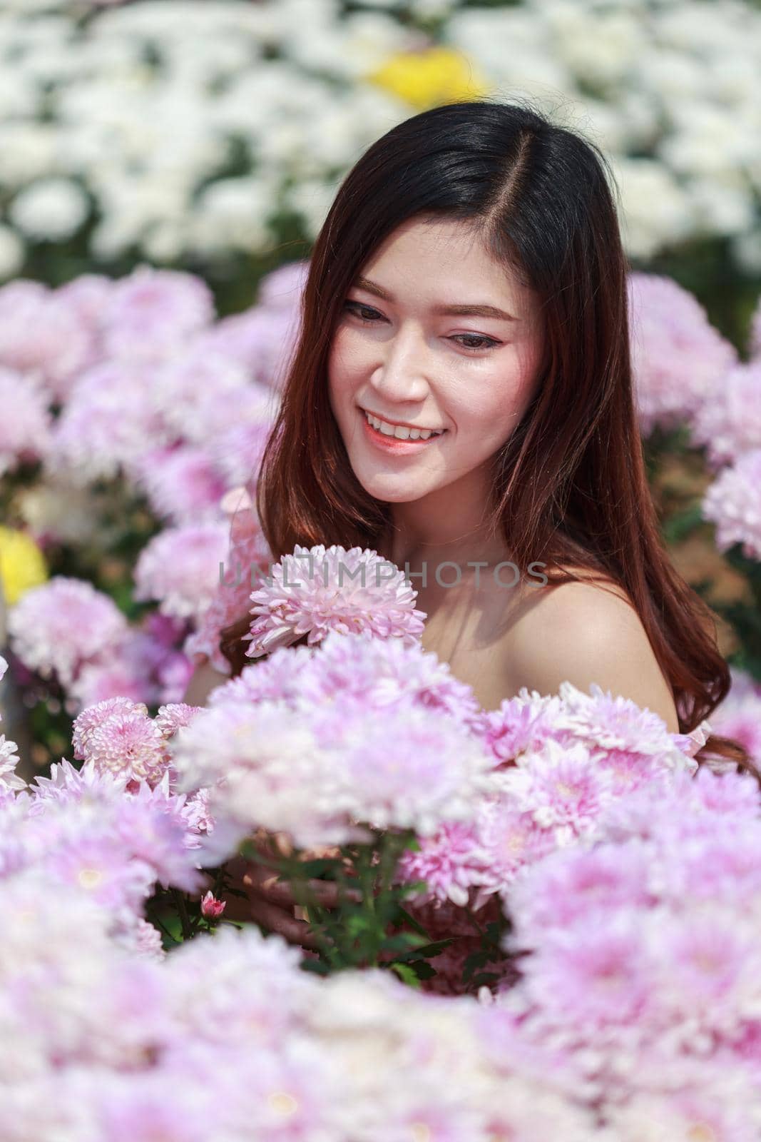 beautiful woman in colorful chrysanthemum glower garden 