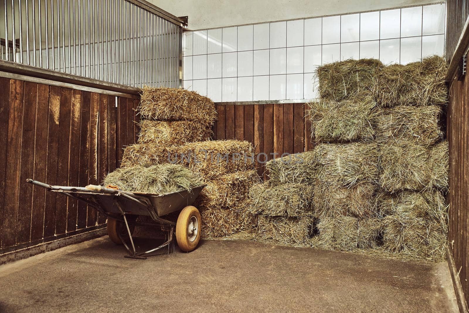 Dry hay stacks in rural wooden barn interior with a wheelbarrow