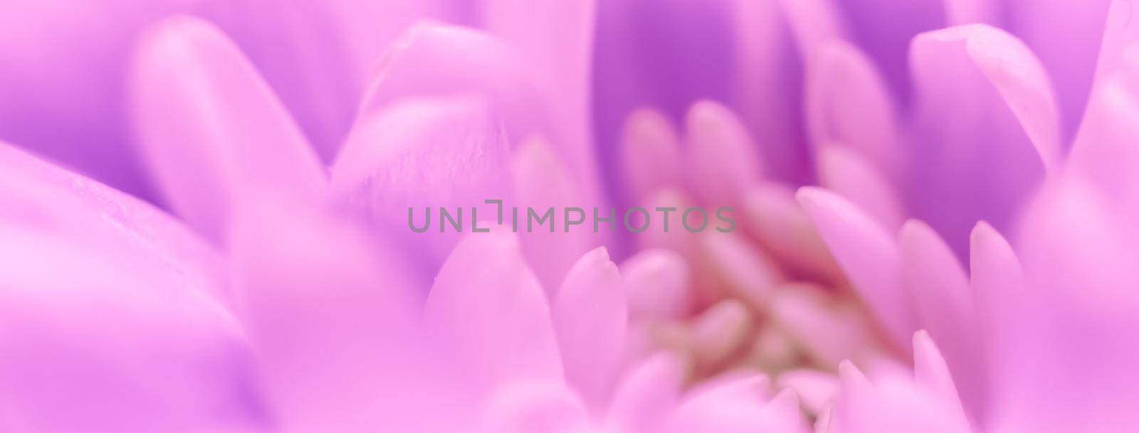 Retro art, vintage card and botanical concept - Abstract floral background, purple chrysanthemum flower. Macro flowers backdrop for holiday brand design