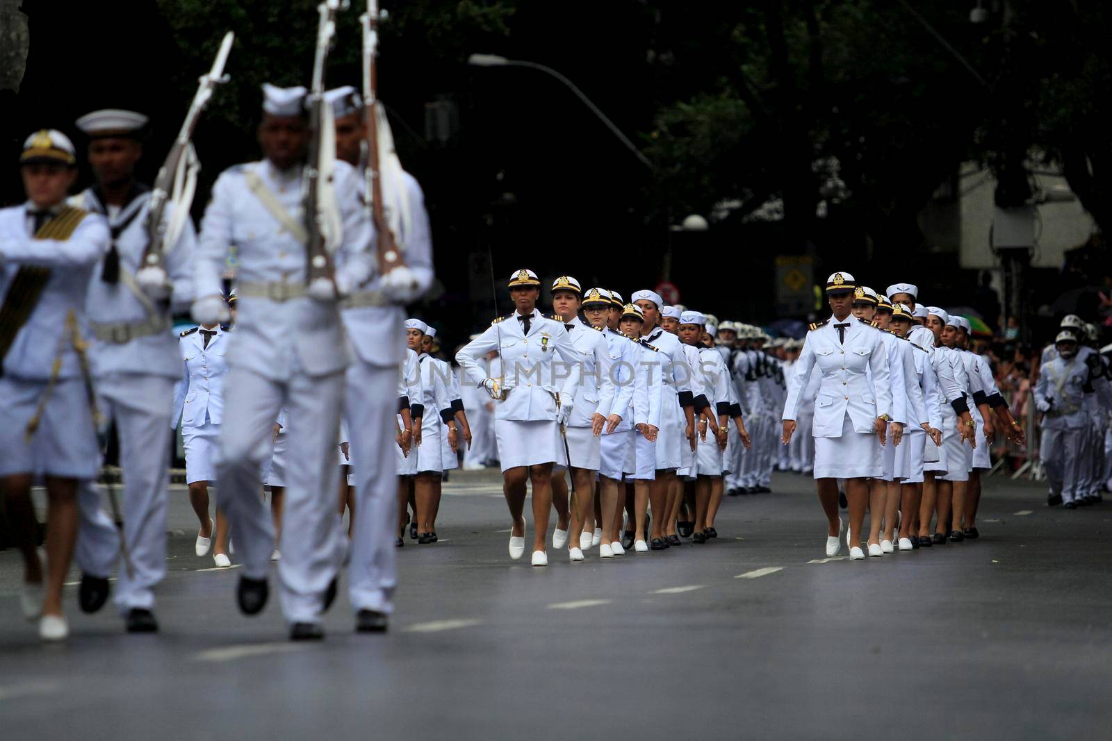 lsalvador, bahia, brazil - september 7, 2014: Brazilian Navy military personnel are seen during a military parade celebrating the independence of Brazil in the city of Salvador.