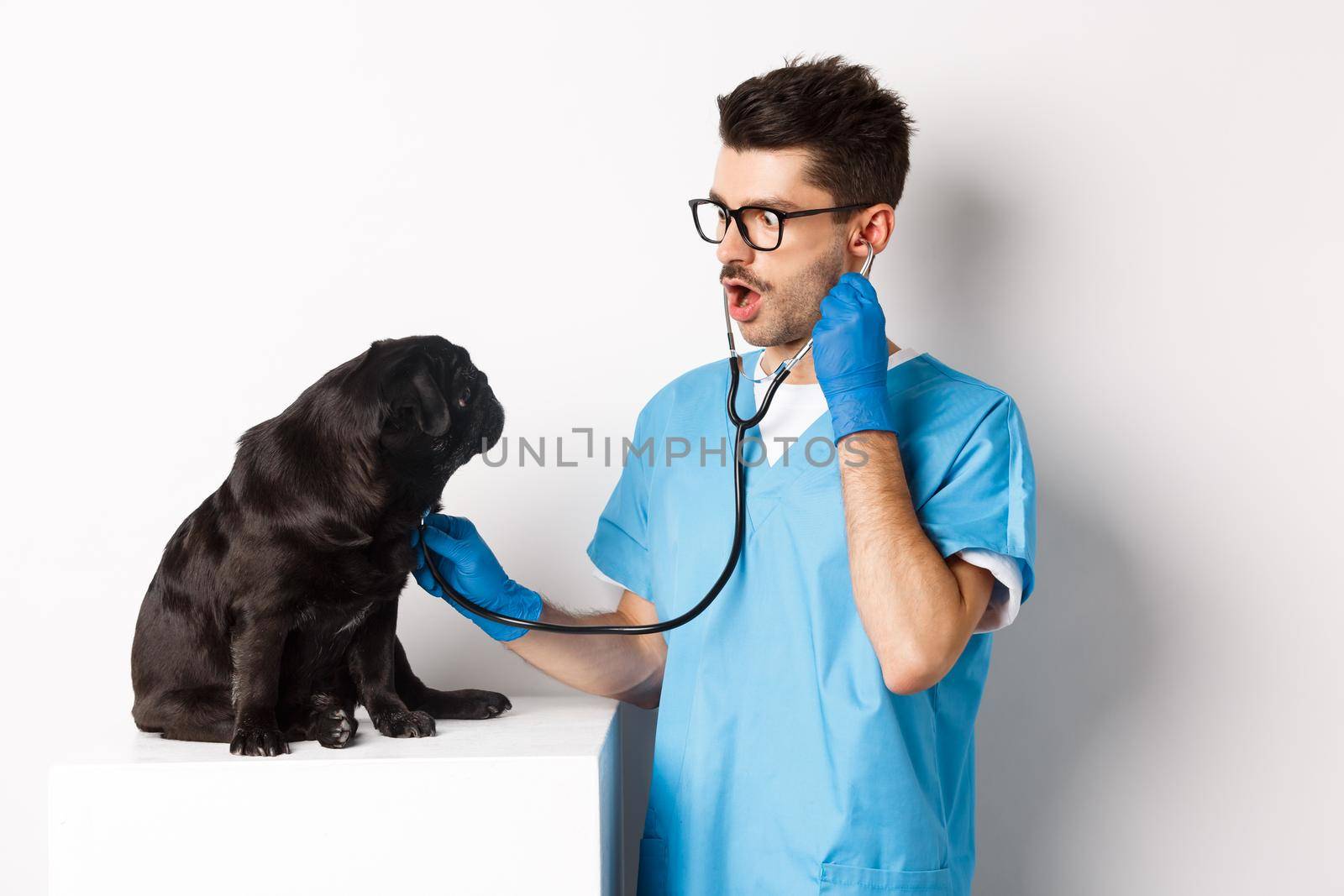 Image of handsome doctor in vet clinic examining dog health, checking pug lungs with stethoscope, standing over white background.