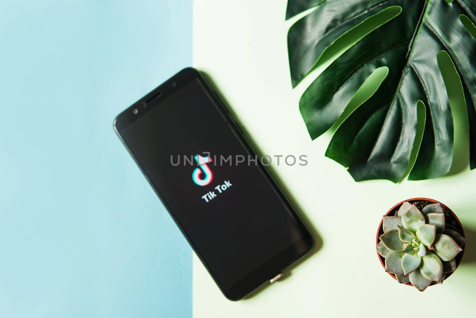 Tver, Russia-February 28, 2020 tik tok logo on the smartphone screen with a monstera leaf and succulents on a blue and mint background. Tik Tok icon. tick Tok app. Tiktok social network.