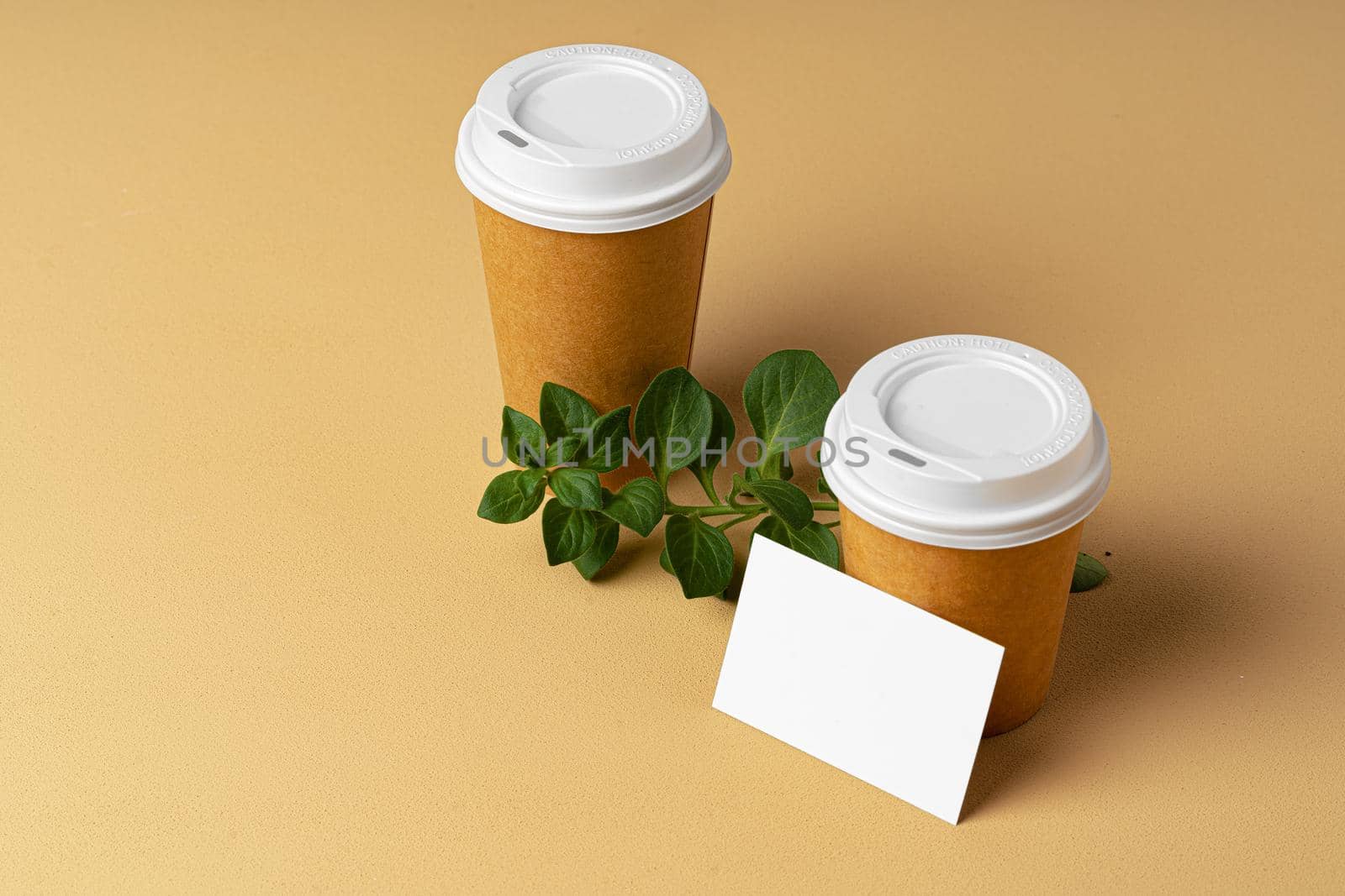 Blank takeaway coffee cup and white businesscards with copy space