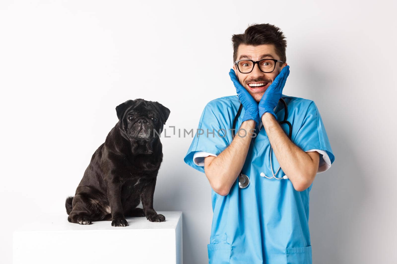Excited young male doctor veterinarian admiring cute pet sitting on table. Cute black pug dog waiting for examination at vet clinic, white background.