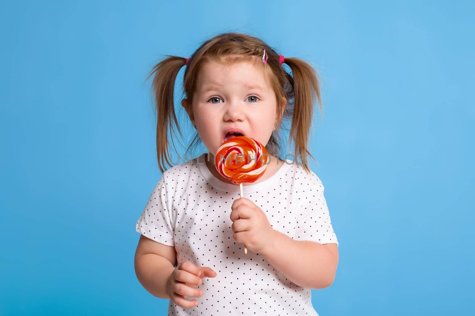Beautiful little female child holding huge lollipop spiral candy smiling happy isolated on blue background. In children loving sweet and caramel concept