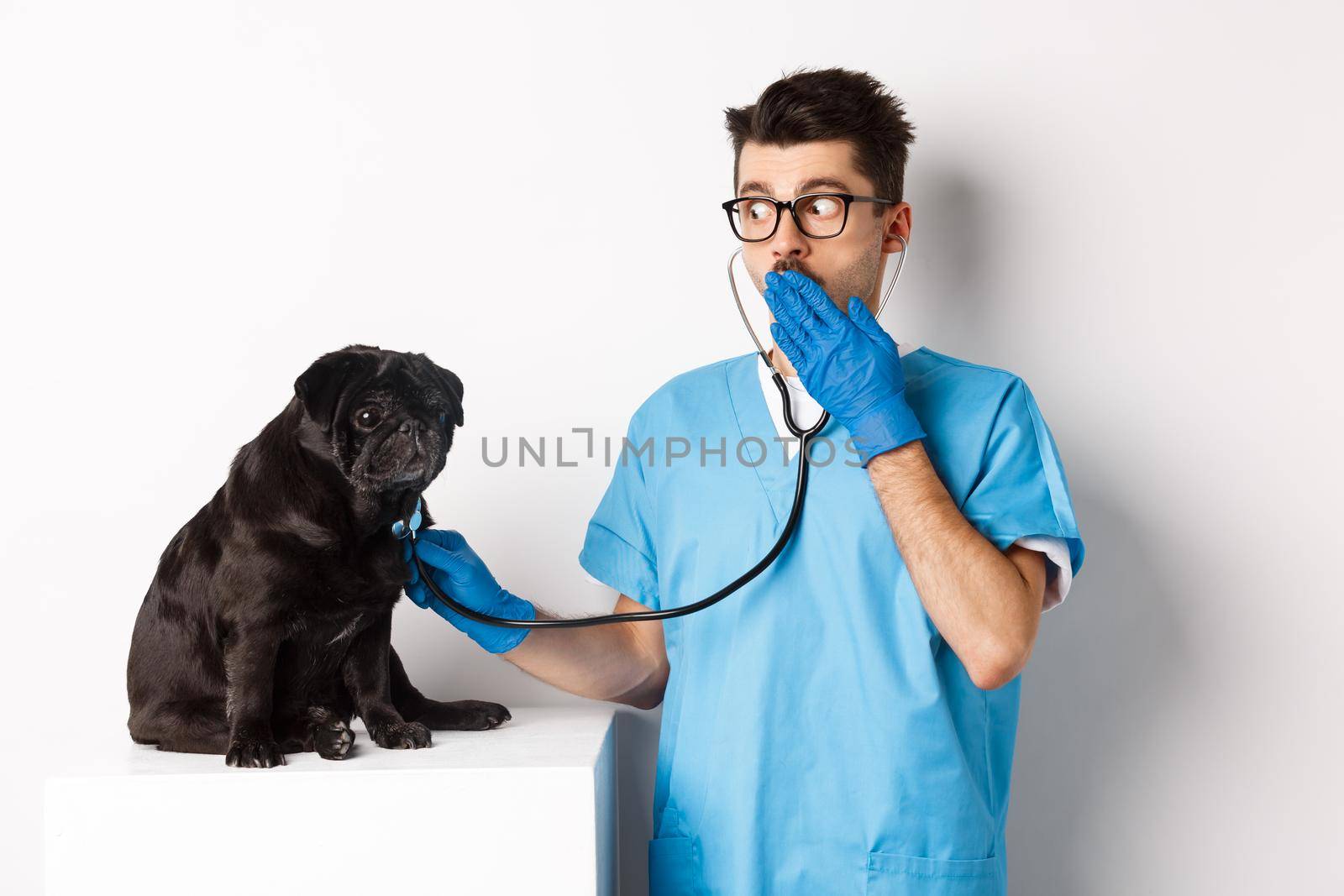 Shocked doctor in vet clinic examining dog with stethoscope, gasping amazed while cute black pug sitting still on table, white background.