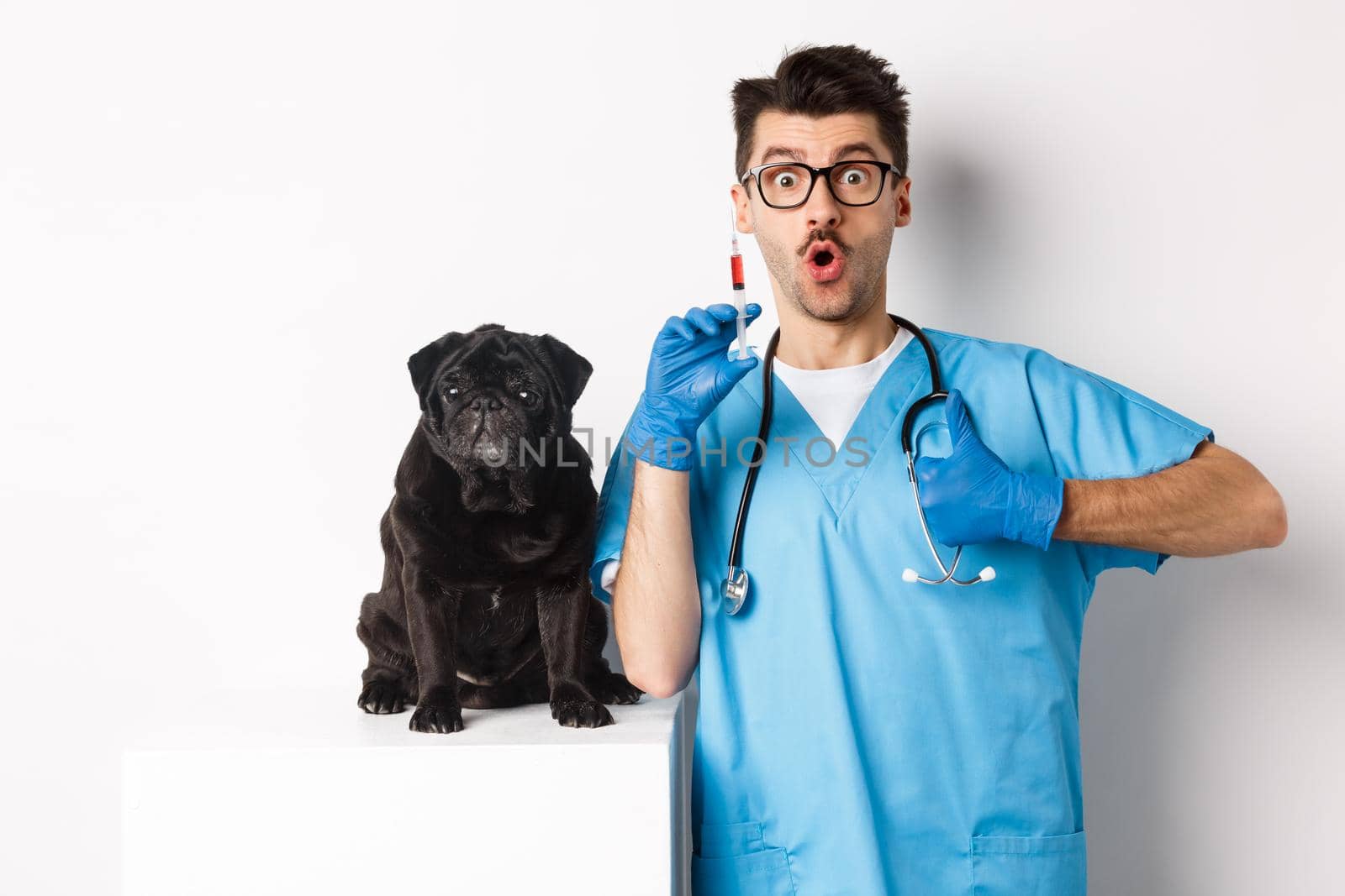 Handsome male doctor veterinarian holding syringe and standing near cute black pug, vaccinating dog, white background by Benzoix