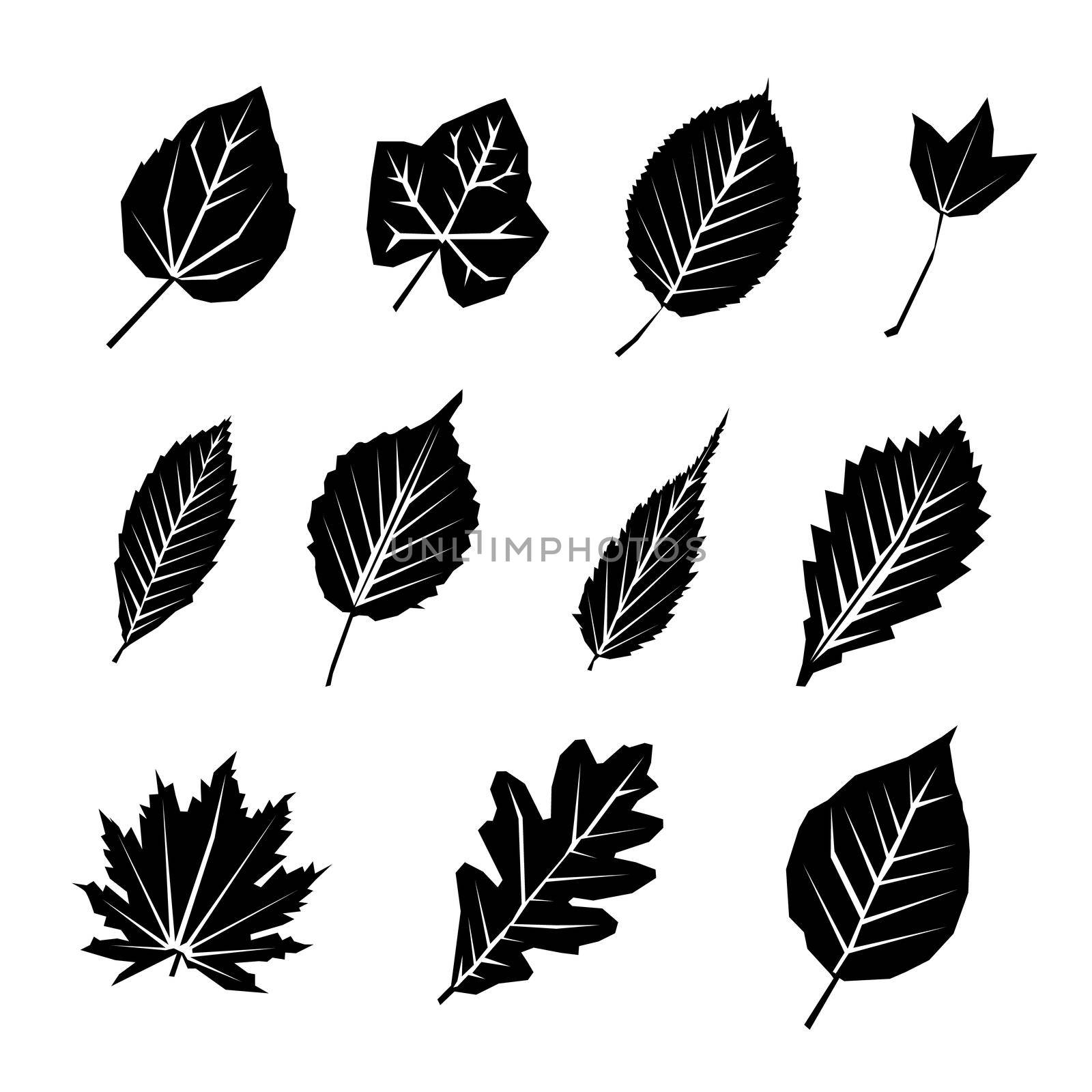 Leaf black silhouette icon set. leaves illustration eps