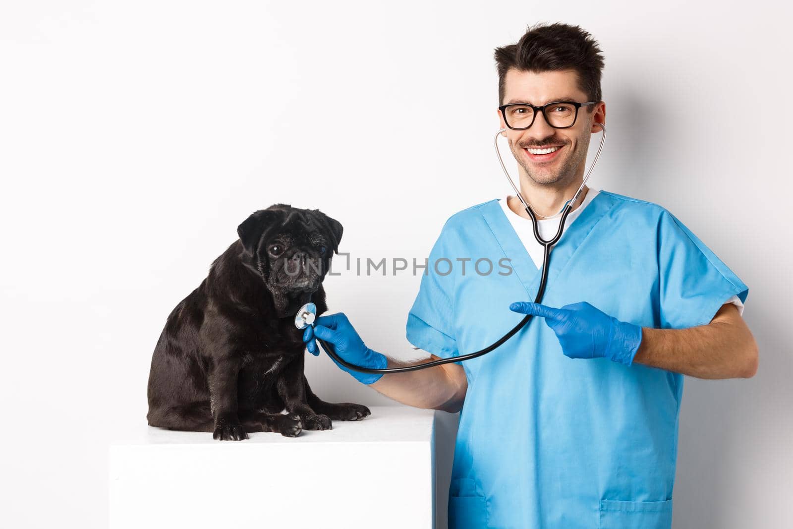 Handsome veterinarian at vet clinic examining cute black pug dog, pointing finger at pet during check-up with stethoscope, white background.