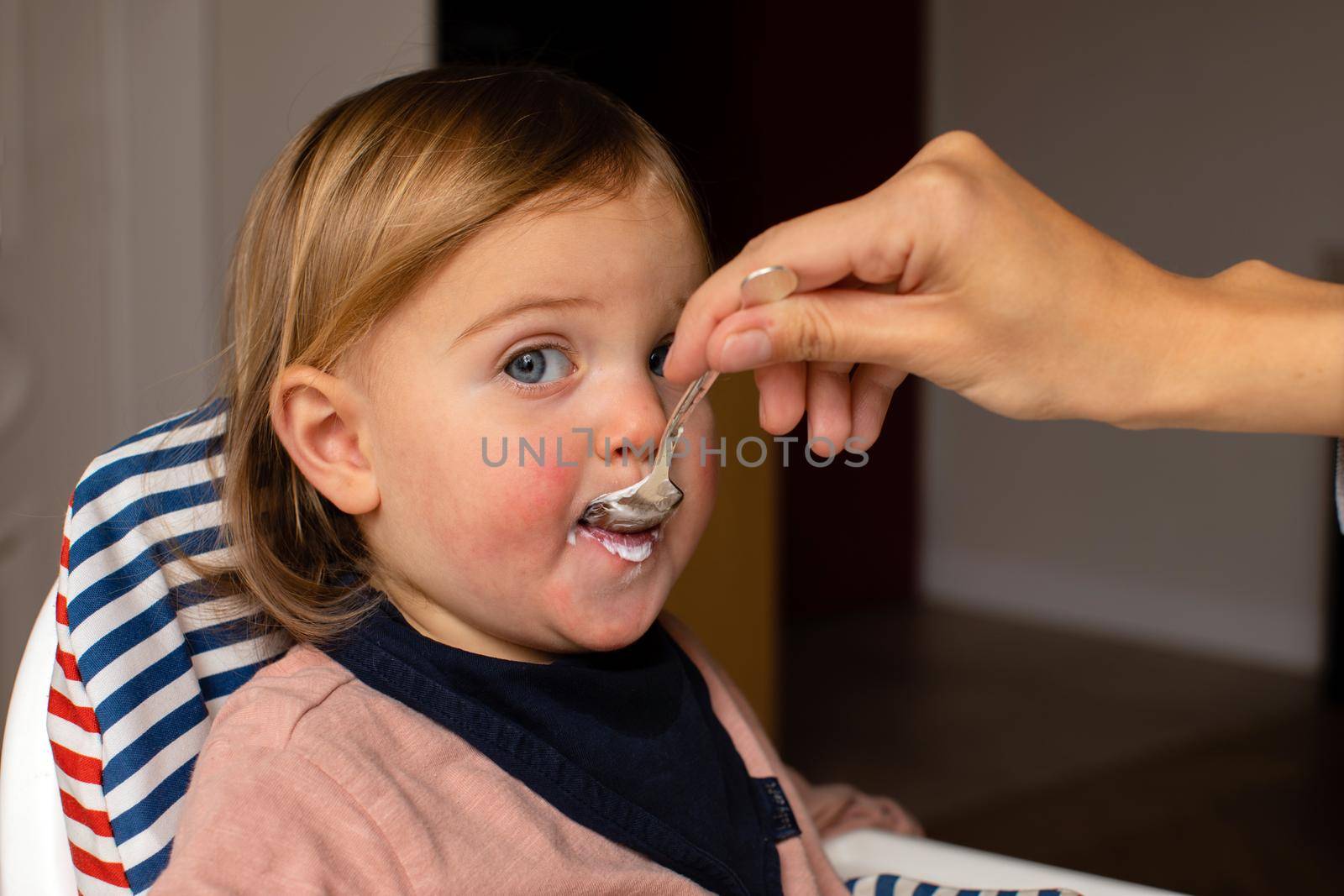 Cute toddler eating creamy food from spoon and looking at camera while being fed by anonymous parent at home