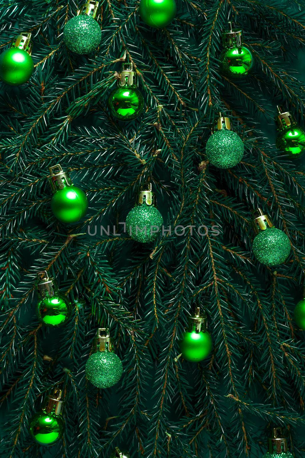 Christmas green background. Pine branches, needles and Christmas trees With green balls. View from above. Round frame with place for text. Christmas nature background. December mood concept.