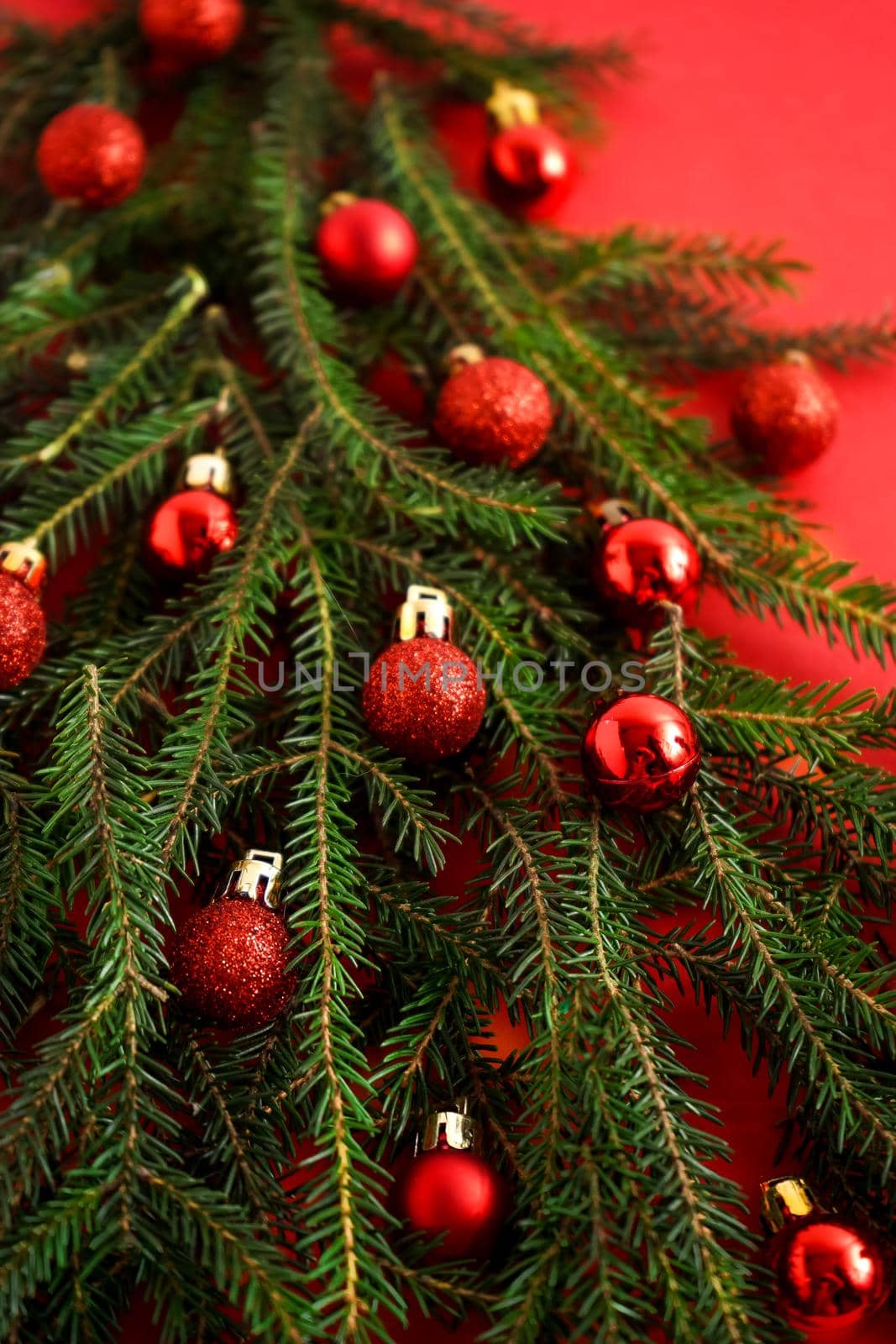 Christmas red and green background. Pine branches, needles and Christmas tree. View from above. Nature. December mood. Red balls decor. Card for new year.