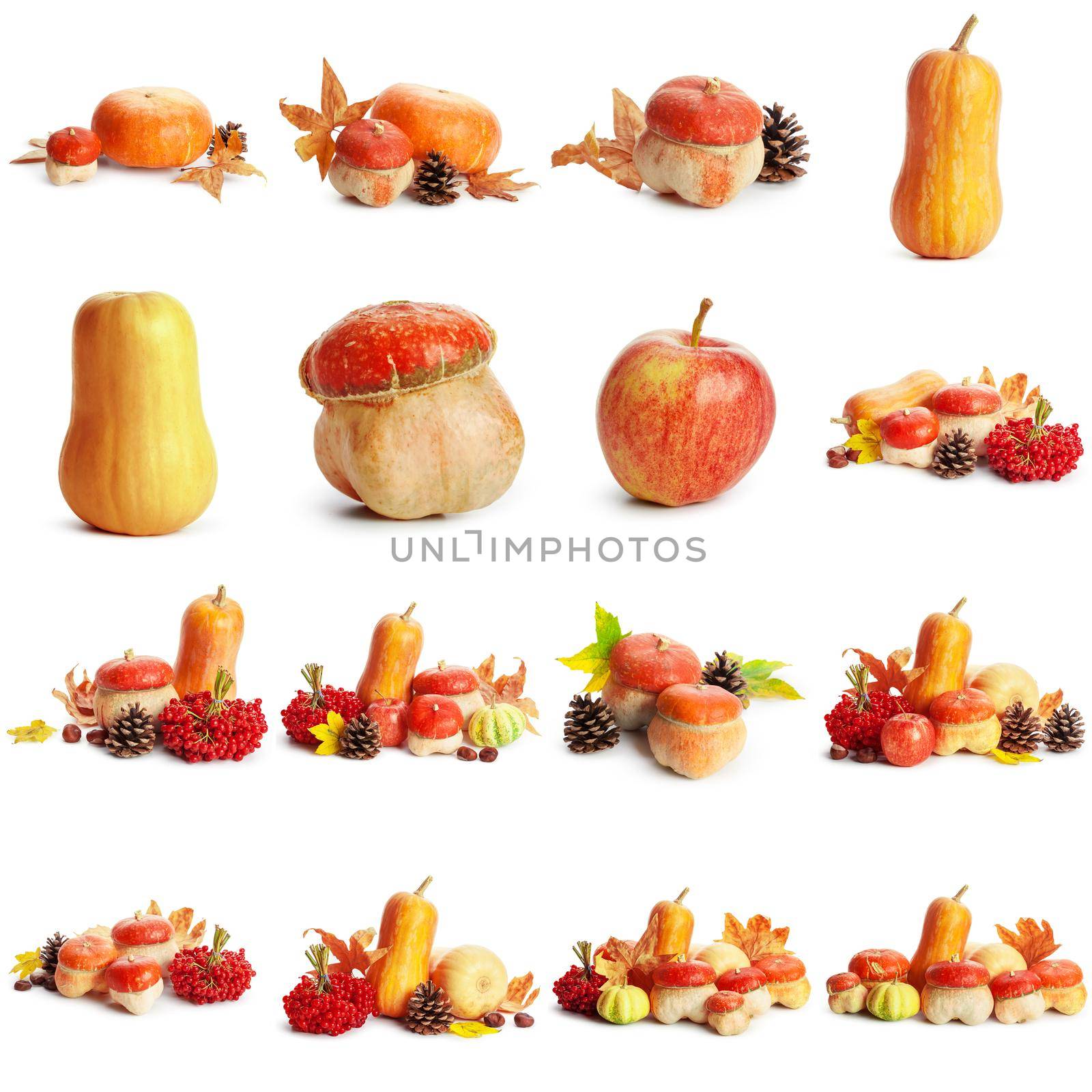 Banner of autumn yellow, orange and red vegetables and fruits isolated on white background, top view, flat layout. Creative pattern