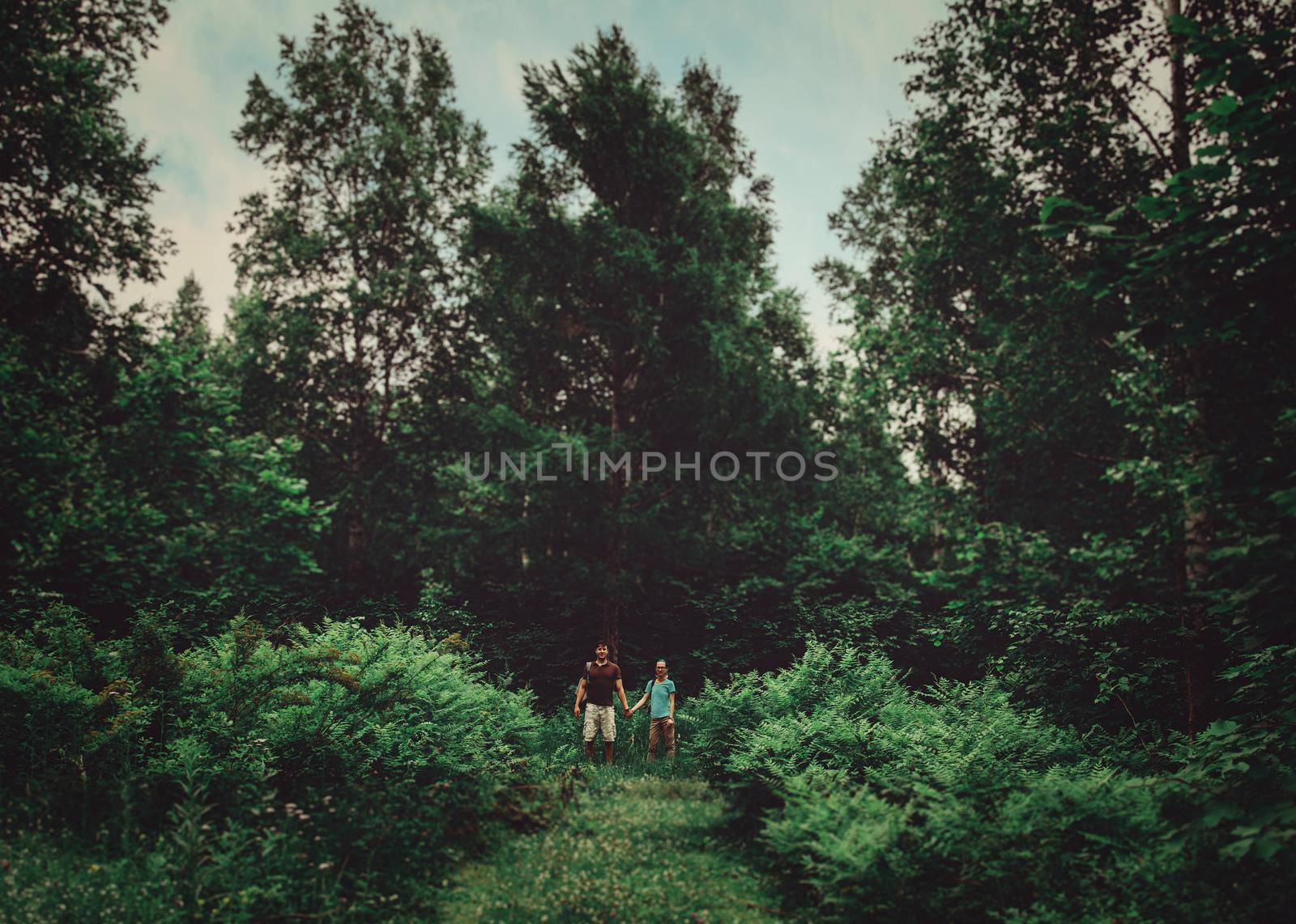 Hiker young couple walking among beautiful old trees in the summer green forest