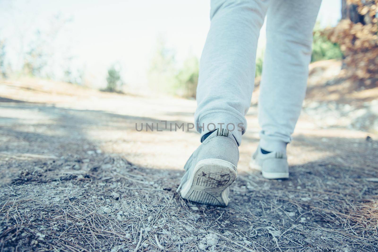 Sporty man running on path in summer forest in the morning, view of legs