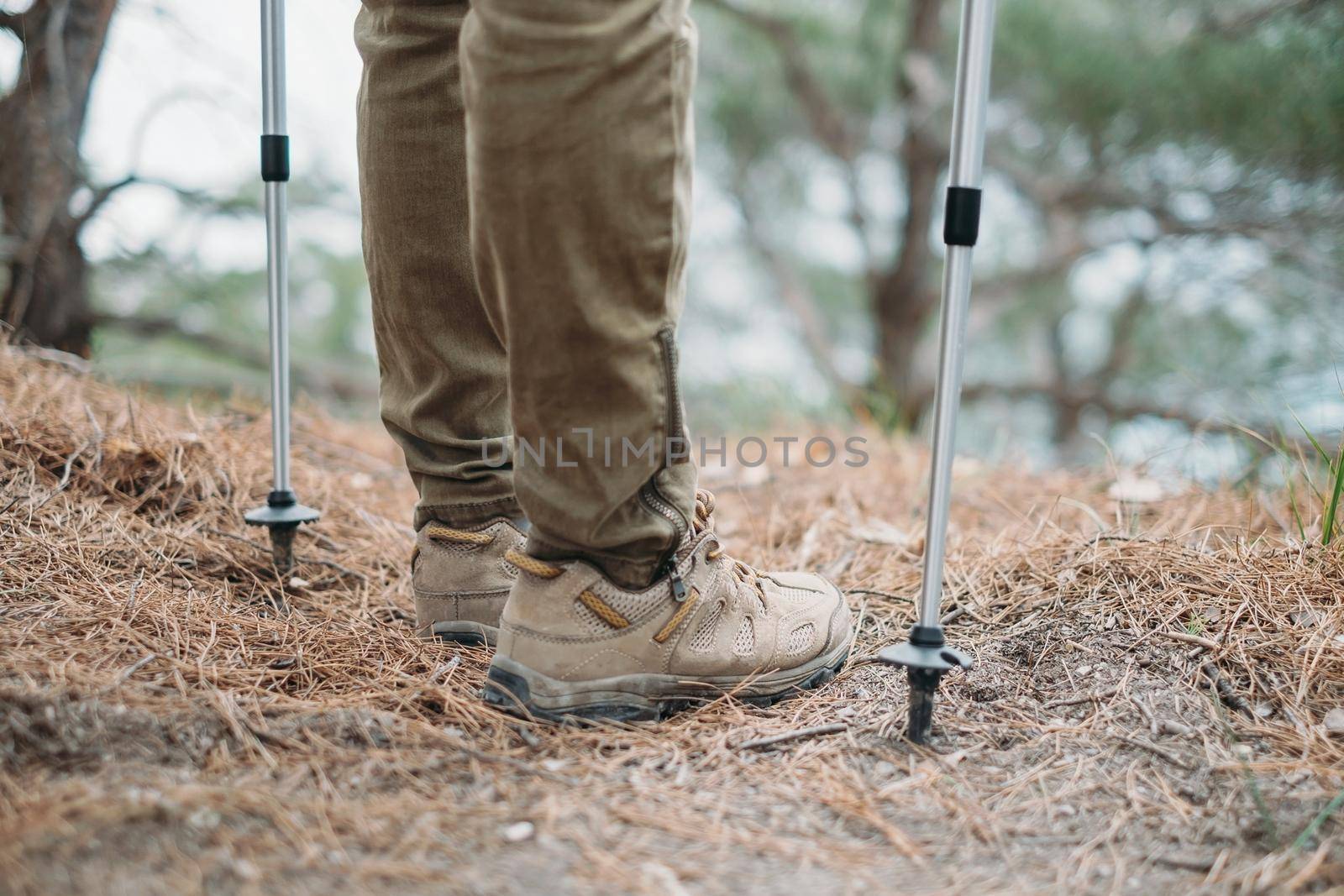 Hiker woman with trekking poles standing in the forest, view of legs