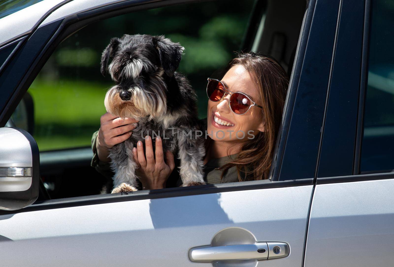 Girl wearing sunglasses sitting in car smiling. Young woman and dog miniature schnauzer looking though window of car.
