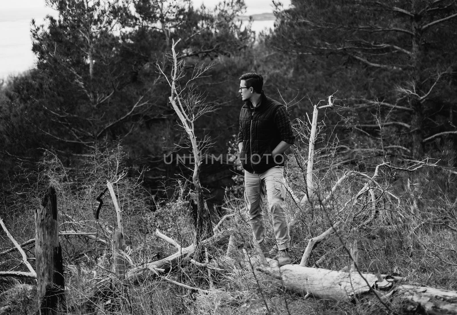 Hiker young man standing on tree trunk and looking away in the forest. Monochrome image