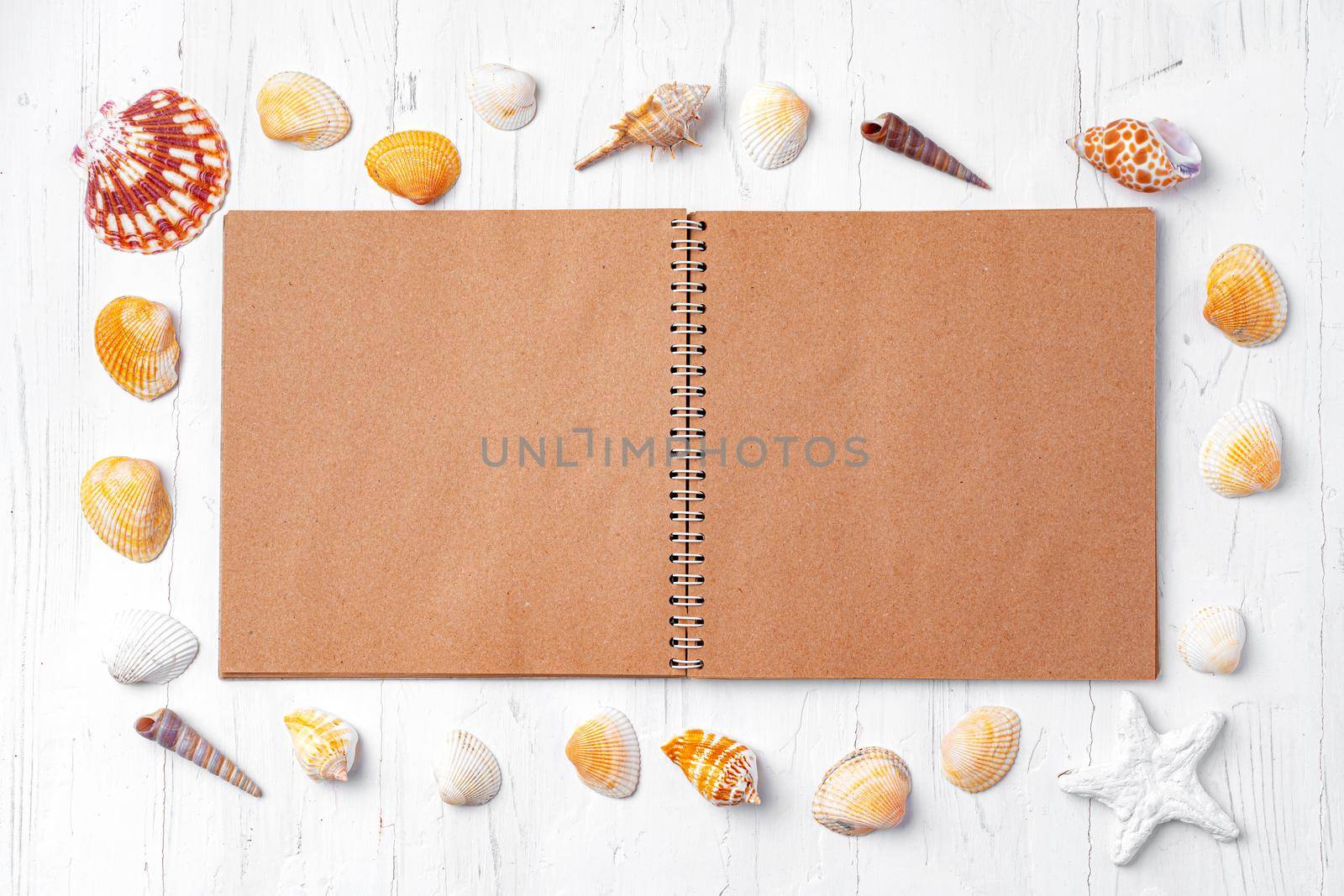 Open notepad with sea shells on white wooden background, top view