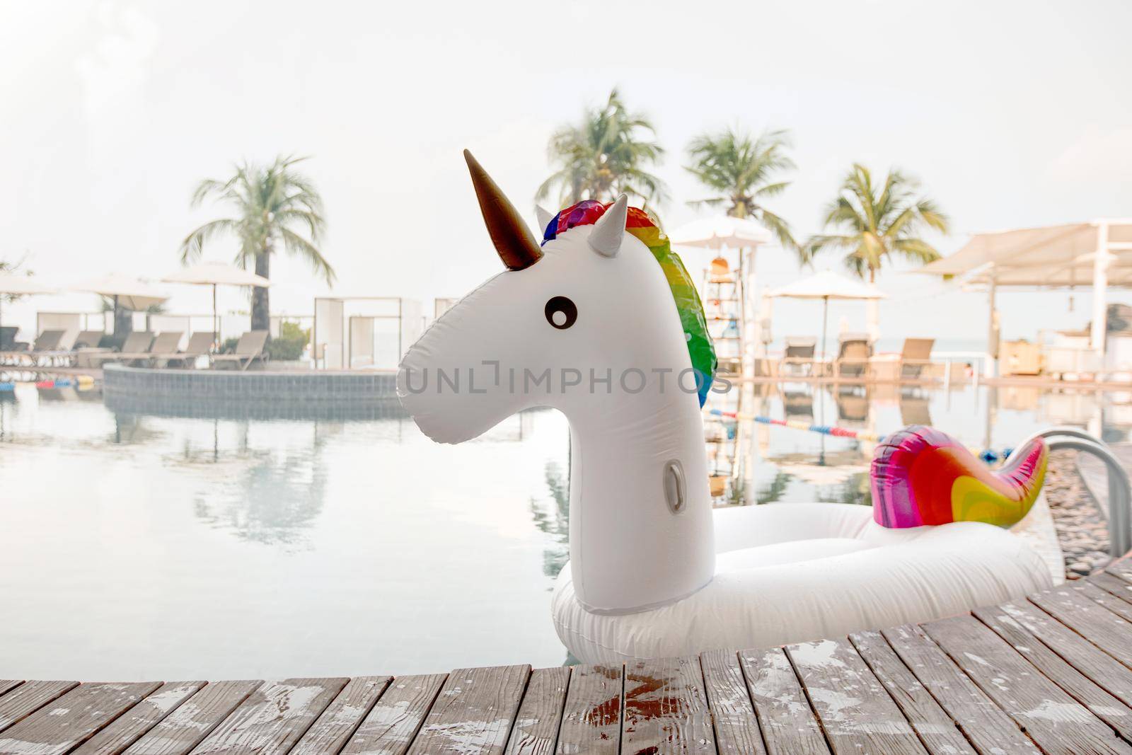 Colorful inflatable toy unicorn swimming near edge of pool on tropical resort.