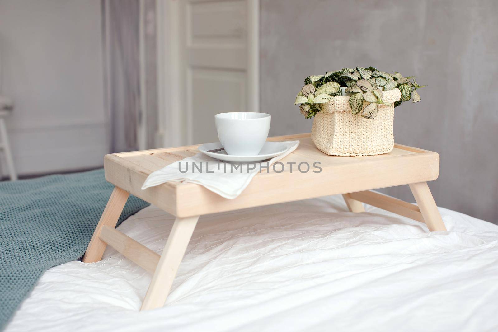 White porcelain cup and houseplant in knitted pot cover on wooden breakfast tray in cozy bed