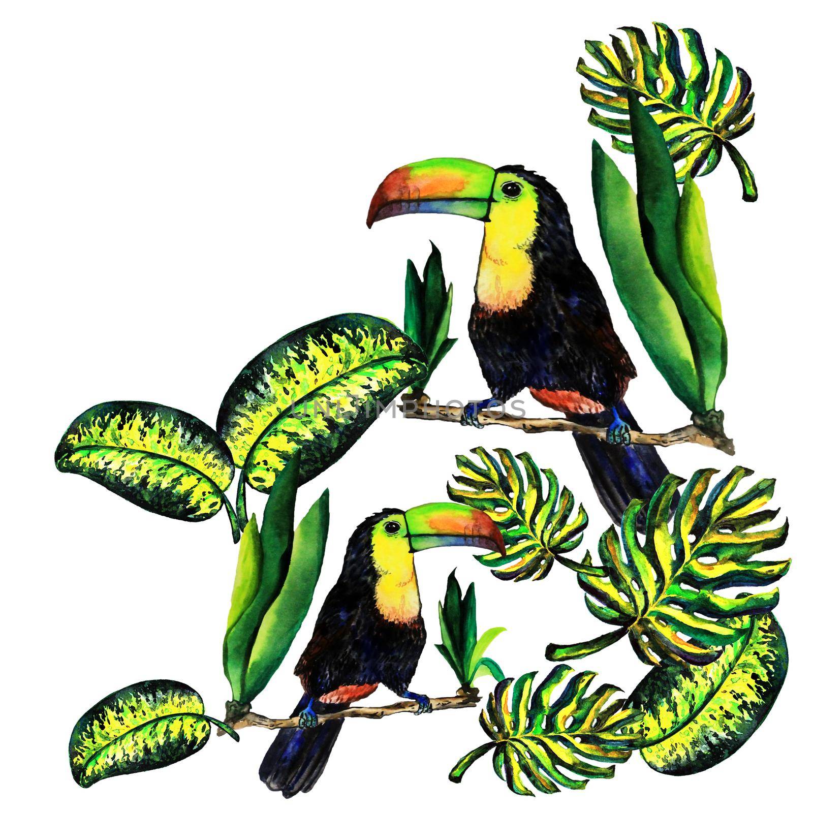 Greeting card of leaves monstera and Toucan. Watercolor