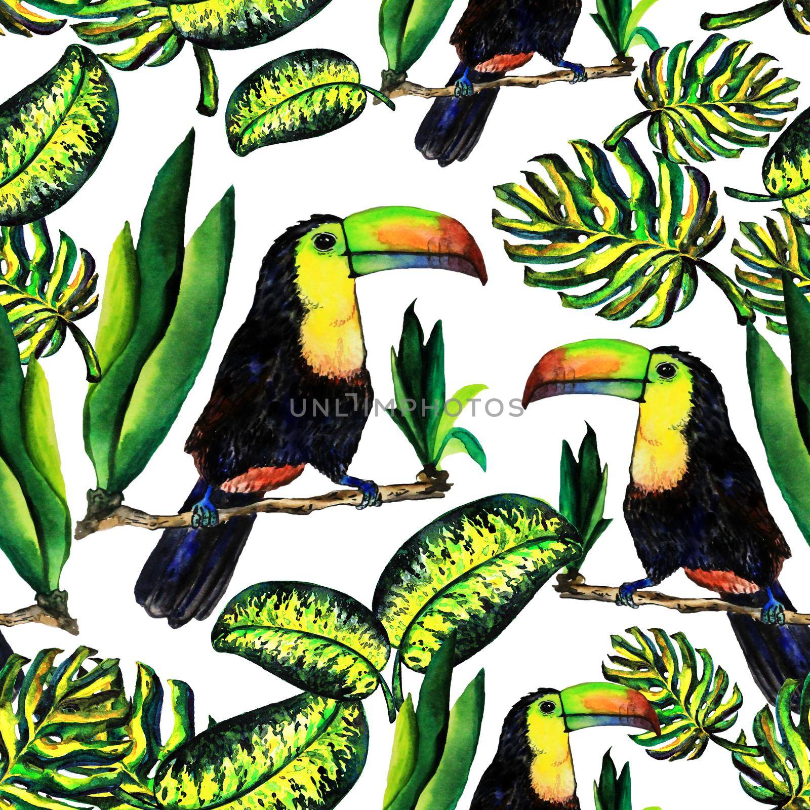Seamless pattern of leaves monstera and Toucan. Watercolor sheet