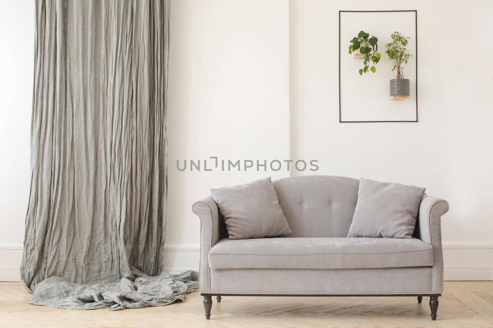 Elegant gray sofa with curtain on wall and creative green decor in light room.