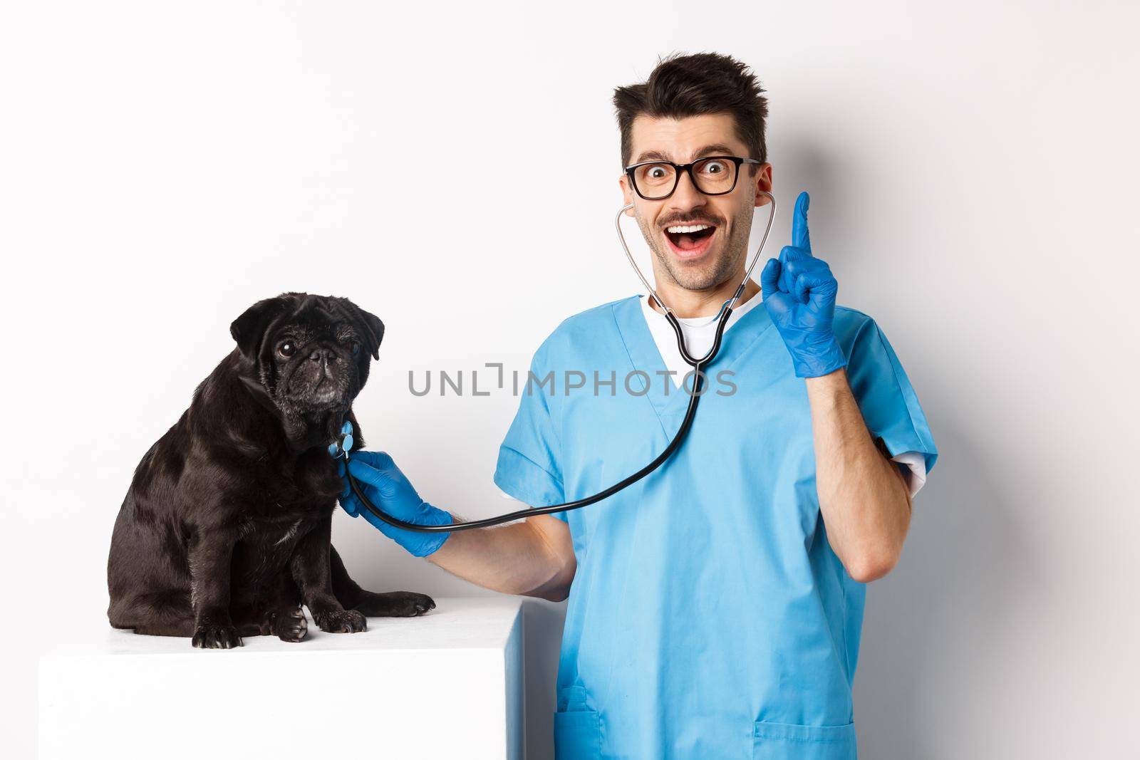 Excited male doctor veterinarian having an idea while examining cute pug dog with stethoscope, raising finger in eureka sign, white background.