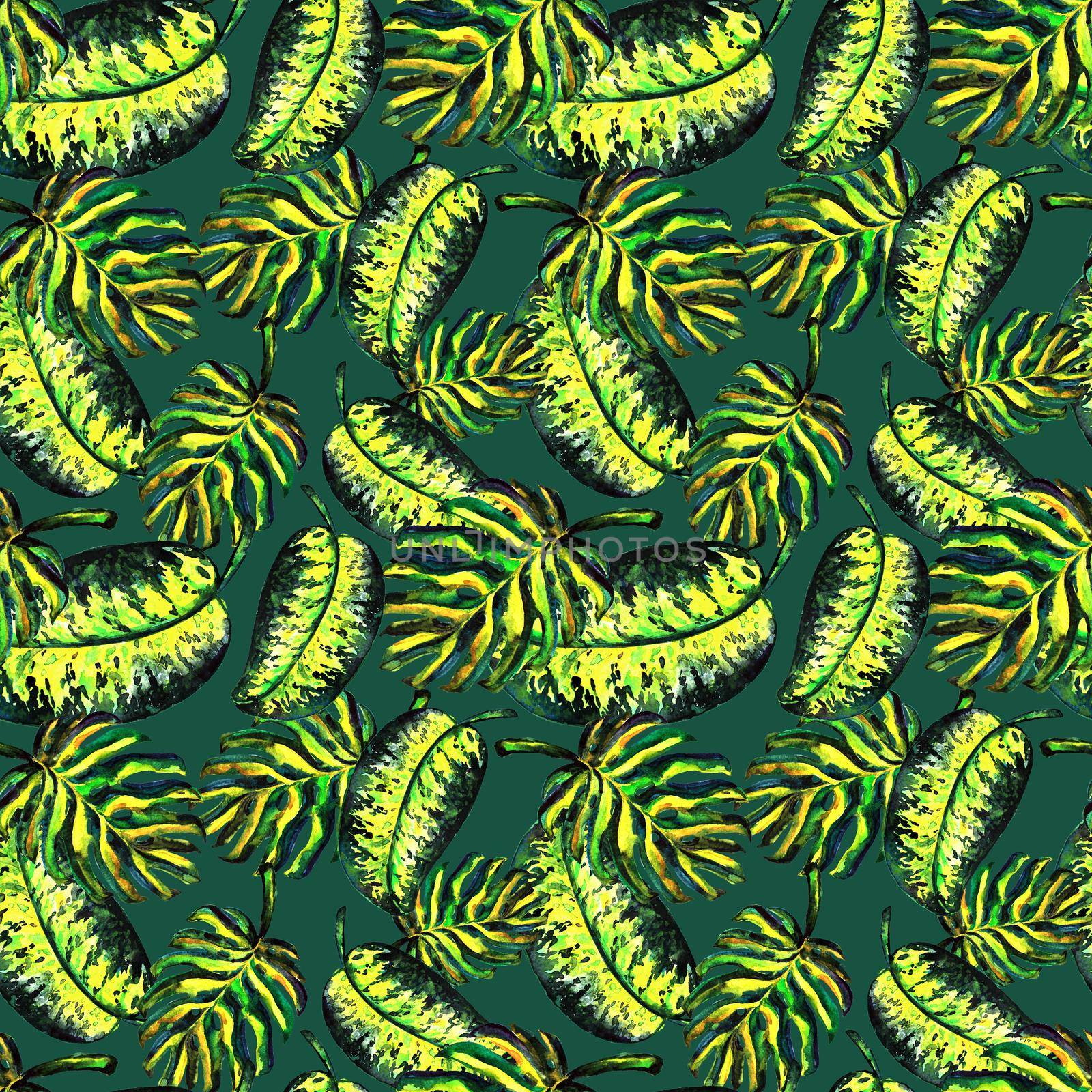 Seamless pattern of leaves monstera. Watercolor sheet