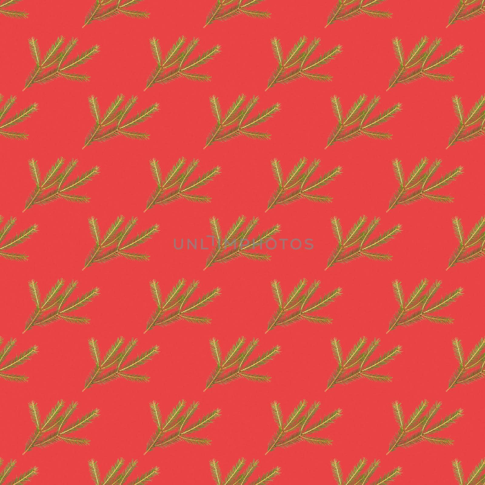 Green spruce branch with short needles - seamless pattern, ornament. Christmas tree, decoration. New year, Christmas. Evergreen coniferous tree, common spruce, wrapping paper by Simol