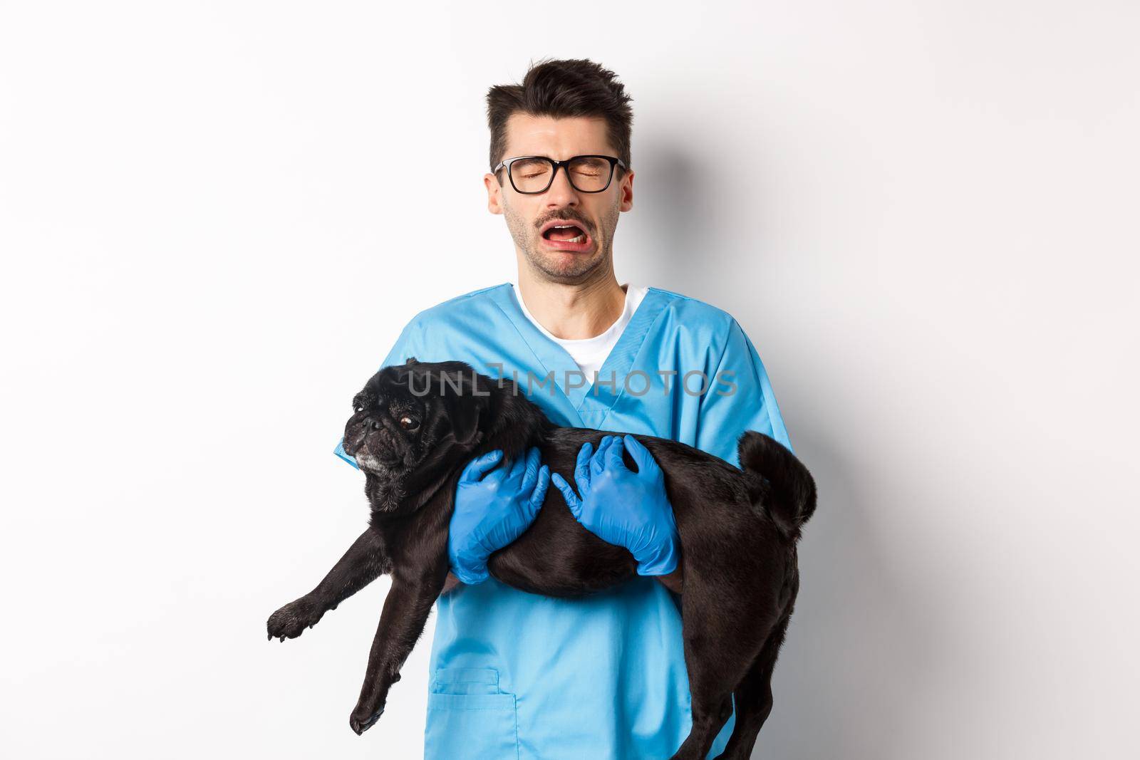 Vet clinic concept. Sad veterinarian holding black pug dog and crying, sobbing with miserable face, standing over white background by Benzoix