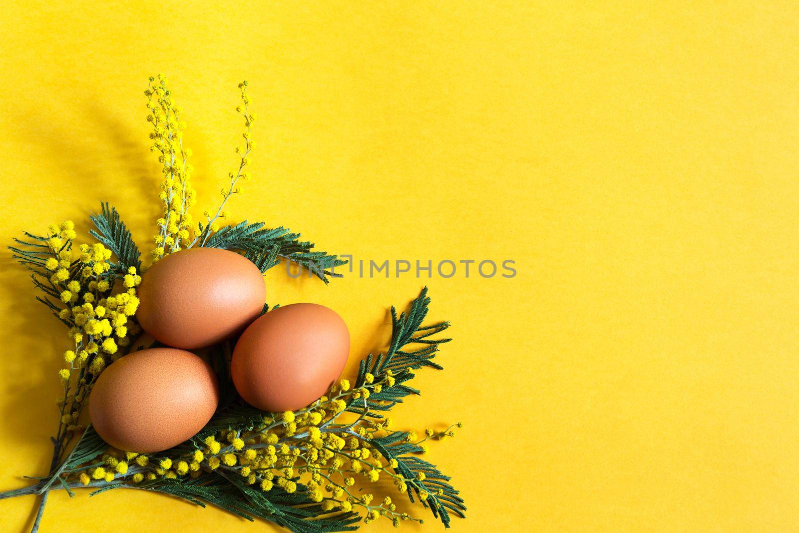 Brown chicken eggs on a yellow background and a branch of mimosa with shadows. Easter spring background. Copy space by Simol
