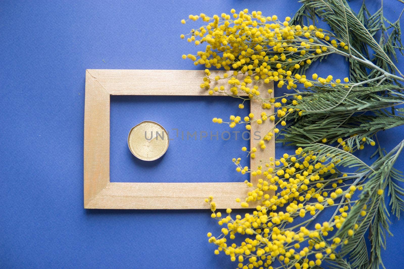 Spring concept, top view. Mimosa and gold frame on blue background. Mimosa close-up. Happy spring. Space for text.