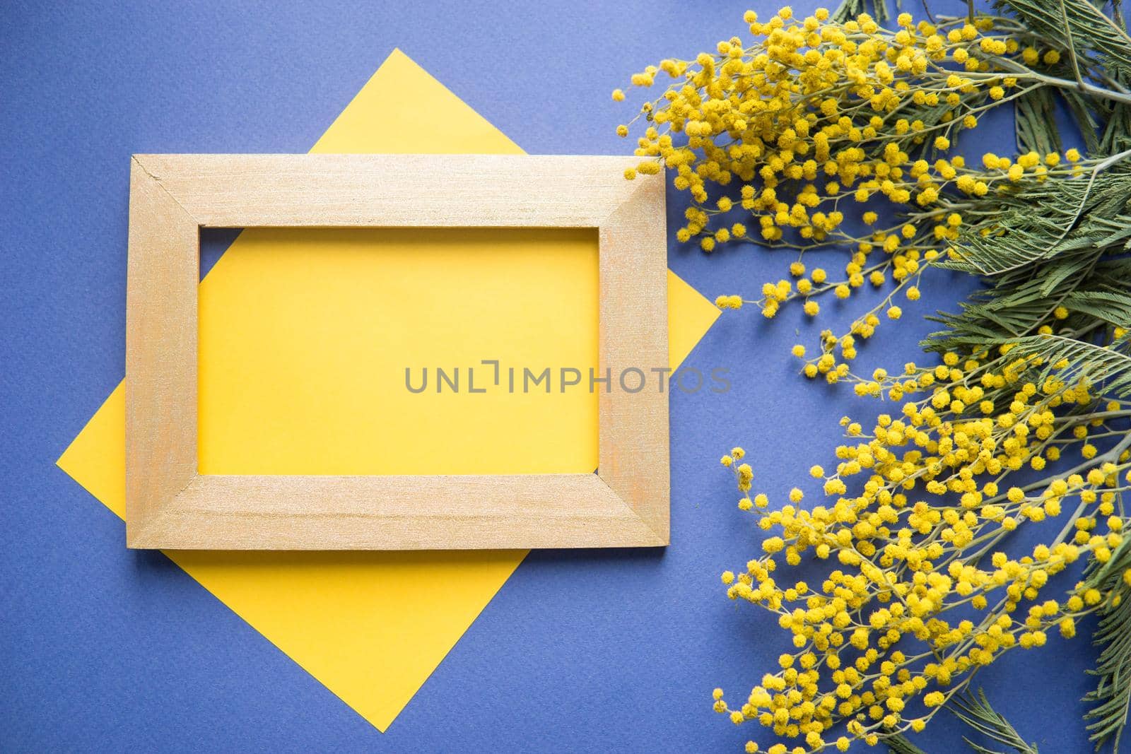 Spring concept, top view. Mimosa, a sheet of yellow paper and a gold frame on a blue background. Mimosa close-up. Happy spring. Space for text.