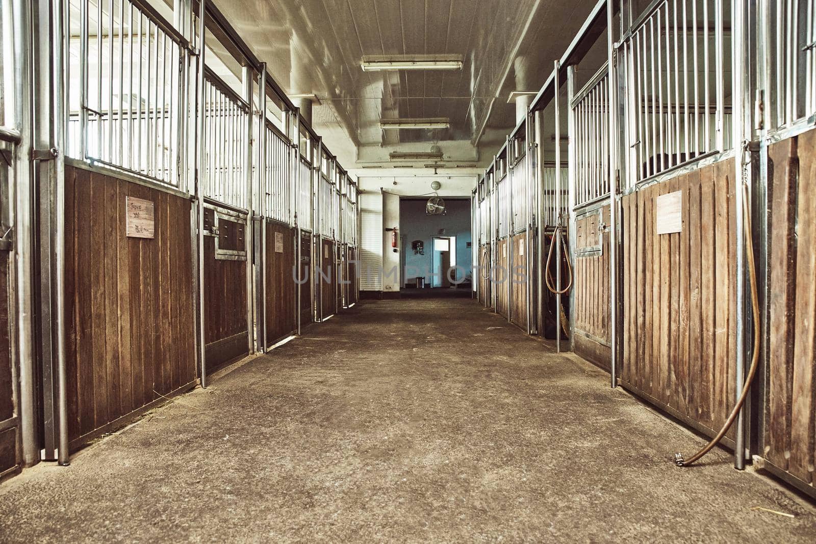 Horse Paddock Equestrian Ranch Racing Stable by nazarovsergey