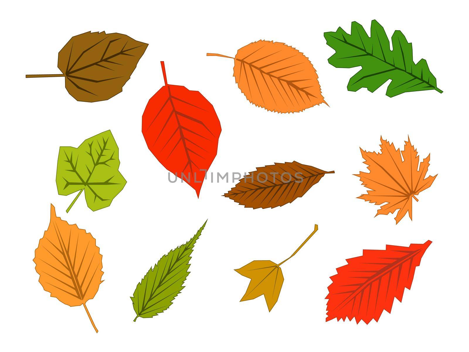 illustration of color autumn leave by Alxyzt