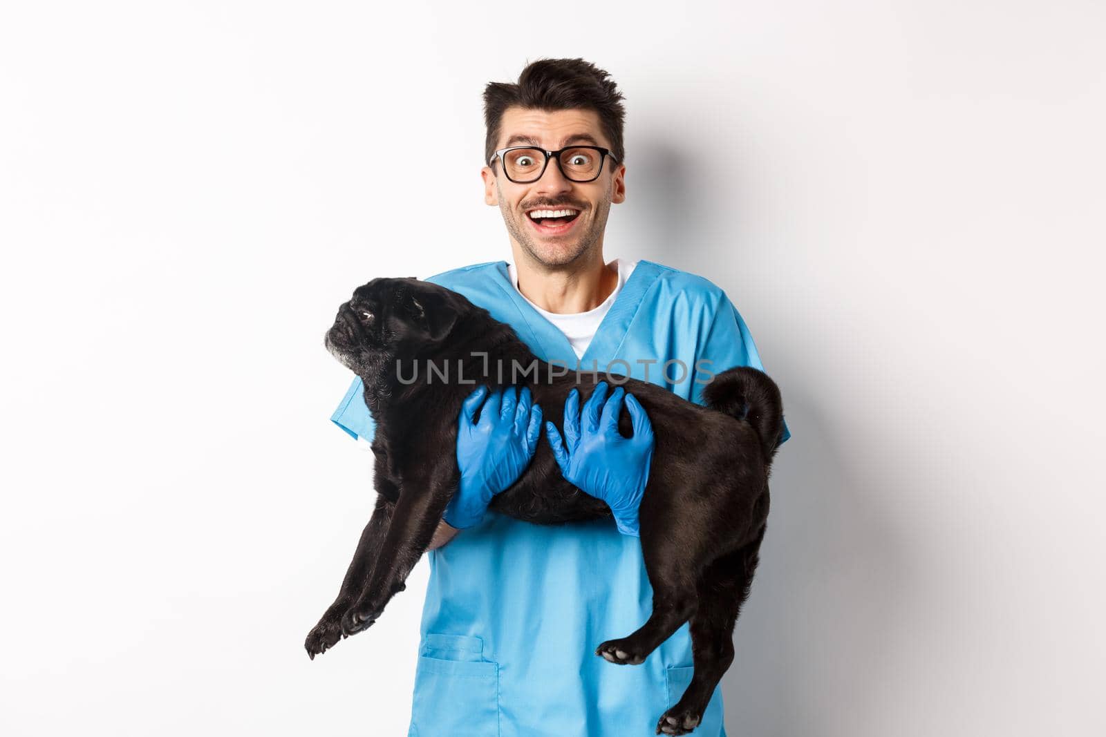 Vet clinic concept. Happy male doctor veterinarian holding cute black pug dog, smiling at camera, white background by Benzoix