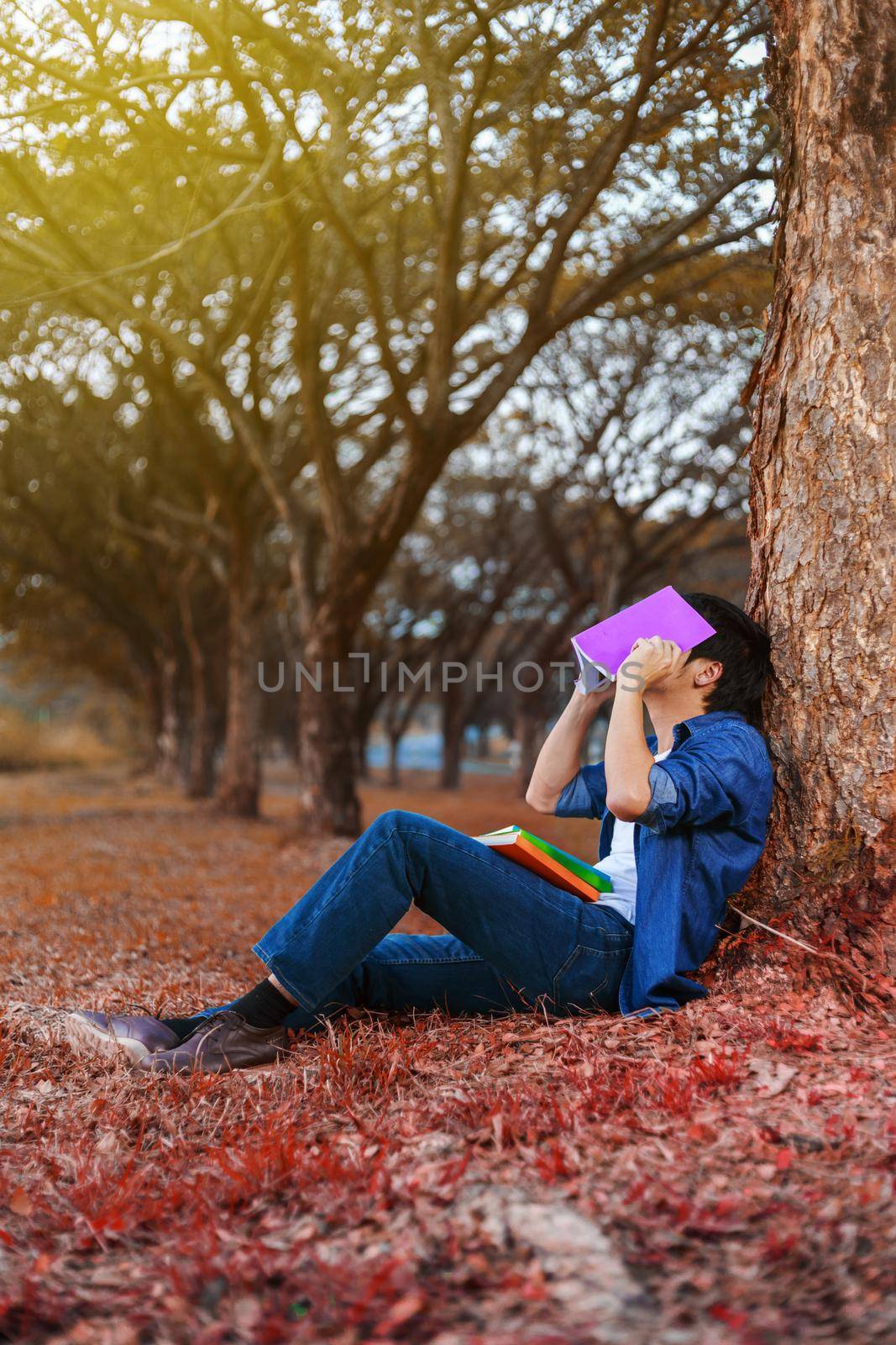 young man in stress situation when reading a book in park by geargodz