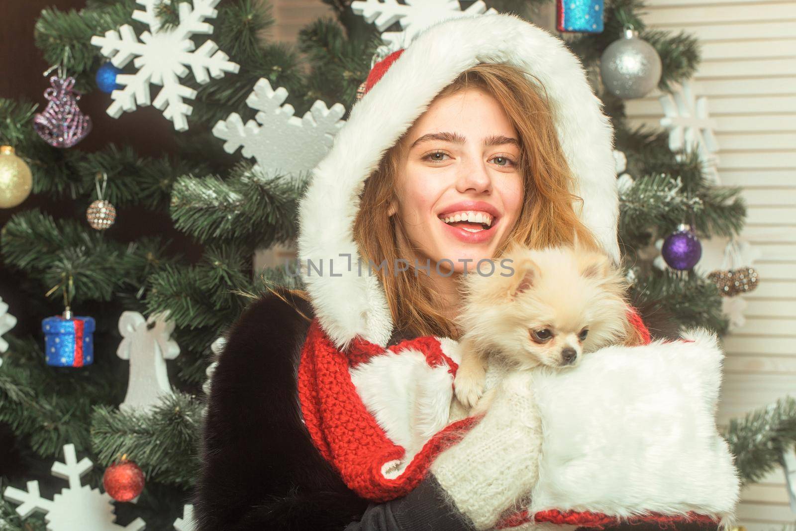 Cute young woman hold puppy. Christmas woman with happy face and pet. Party celebration and christmas. Dog year winter holiday and xmas.